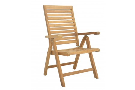 Ashley Reclining/Folding Chair