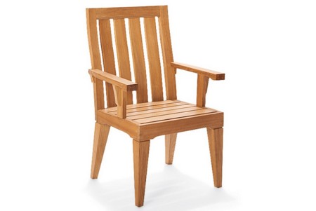 Caranas Arm Chair